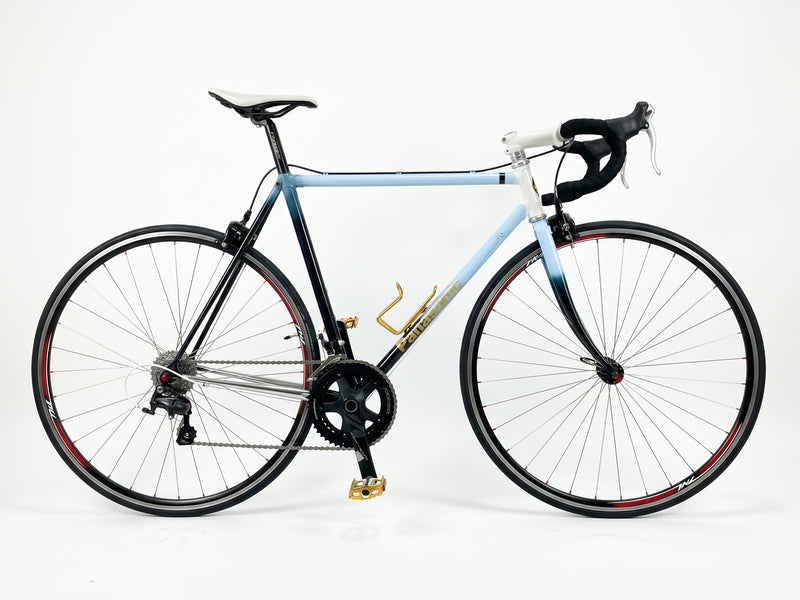 Panasonic Chromoly Single Speed Bike — 510mm (Used)