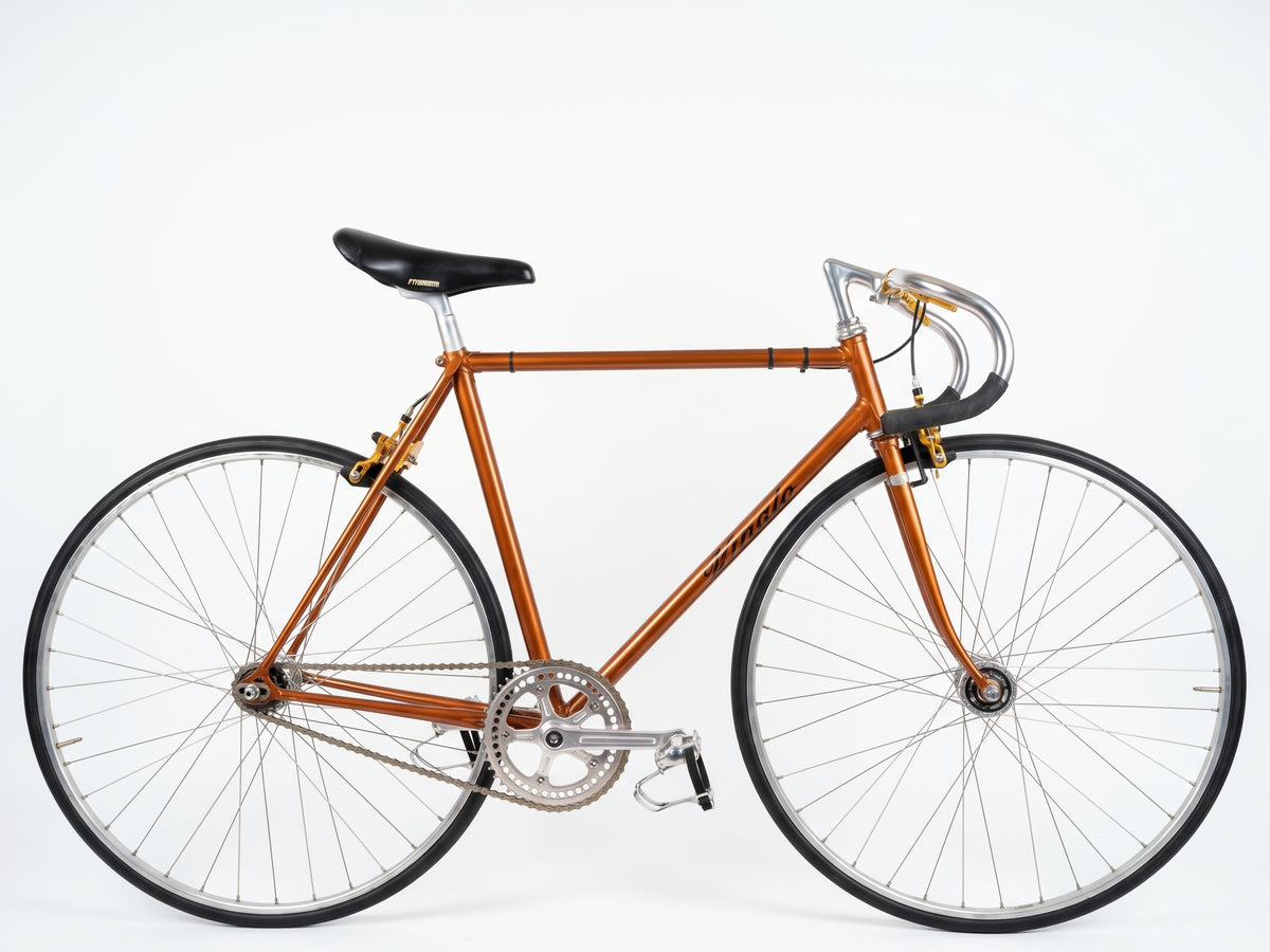 Vivalo Track Complete Bike — Brown, Cr-Mo (Used)