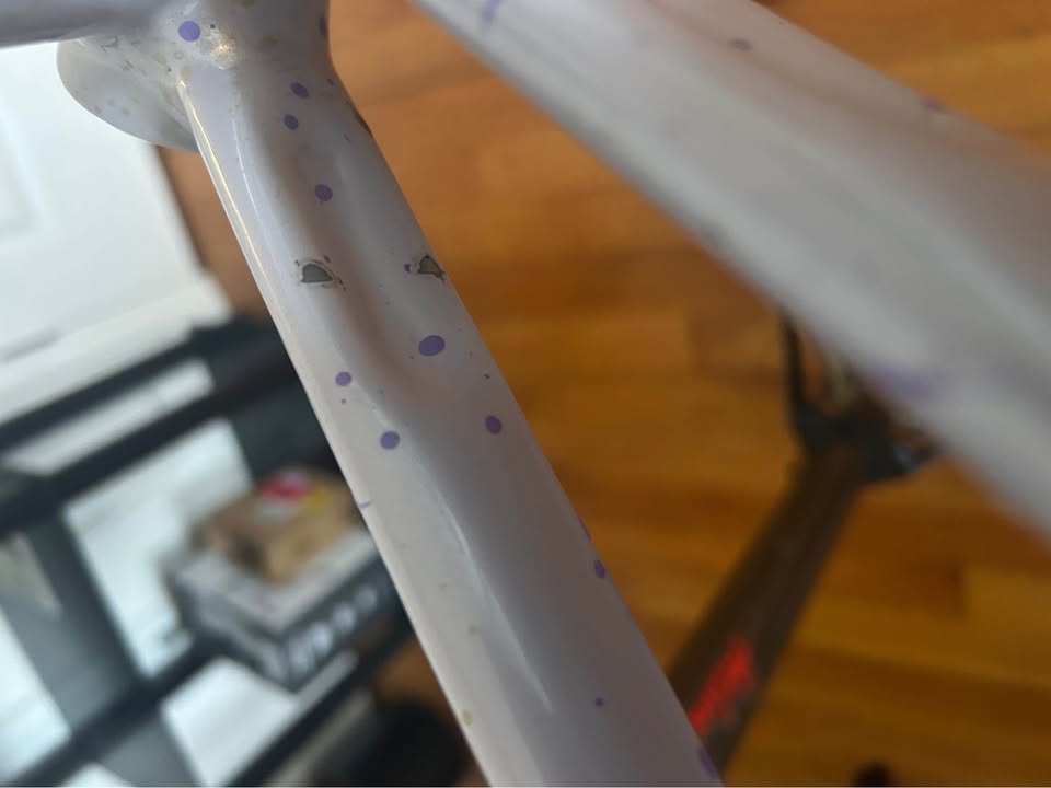 2021 Weis Hammer Track ISP