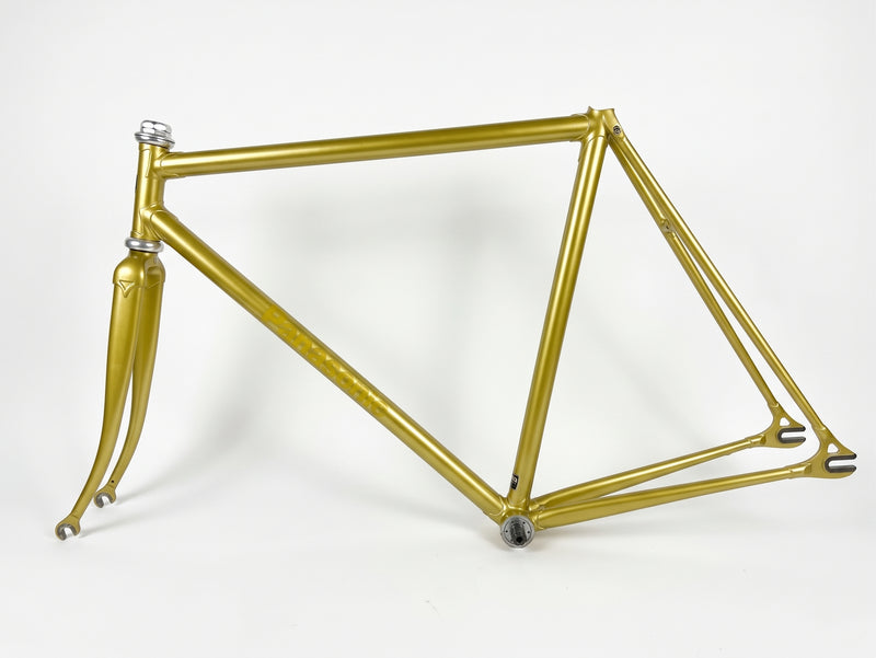 Panasonic NJS Track Frame — Gold (Used)