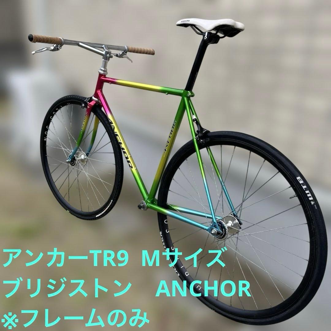 Bridgestone Anchor TR9 Track Frame — Size M, Chromoly (Like New)
