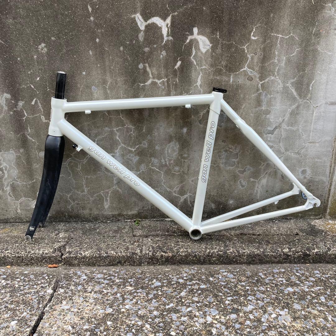 Gan Well Pro GW-R2000 Carbon Frameset — 490mm, White (Used)