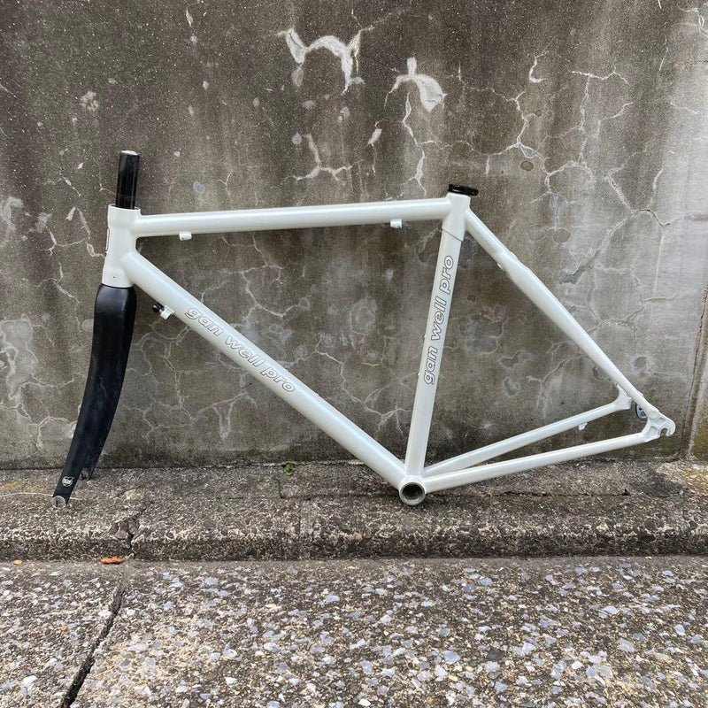 Gan Well Pro GW-R2000 Carbon Frameset — 490mm, White (Used)